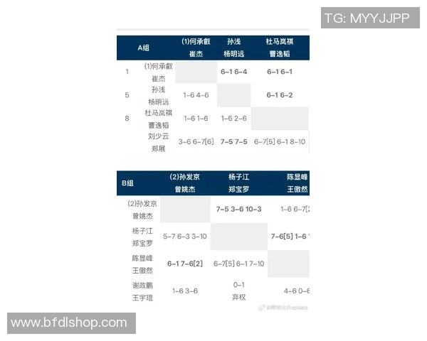北京网球队在全国网球团队协作排行榜中荣获第五名的佳绩分析